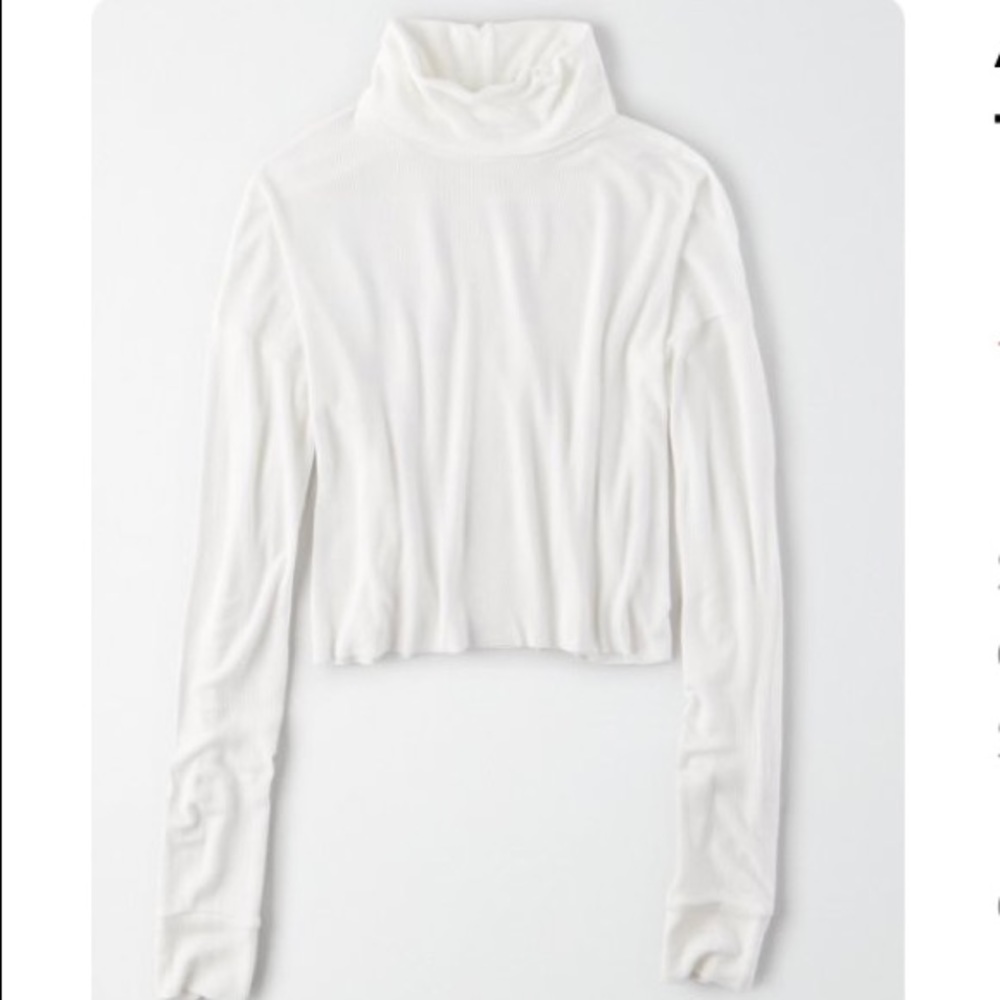 American eagle turtleneck